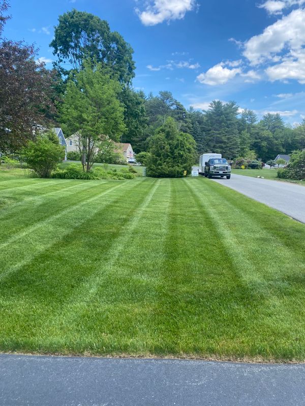 Lawn Maintenance