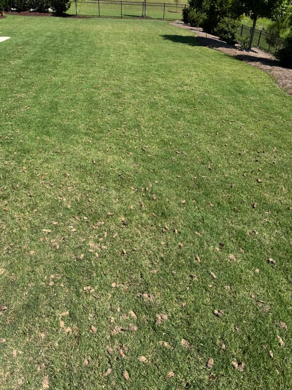 Aeration Gallery