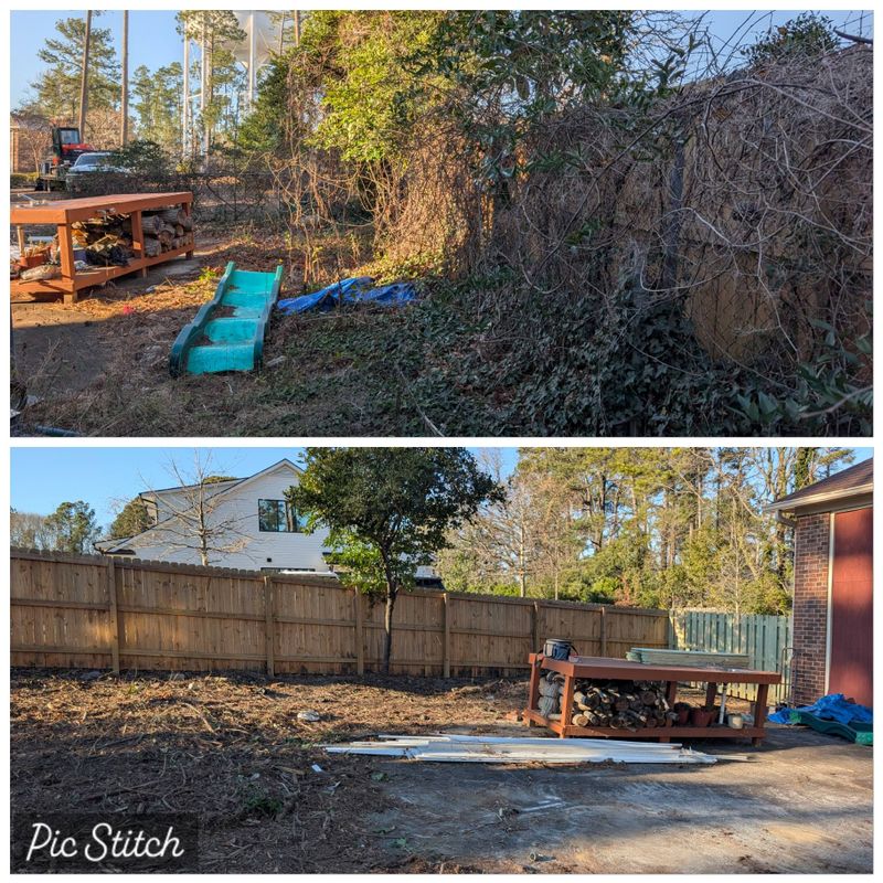 Tree & Shrub Care