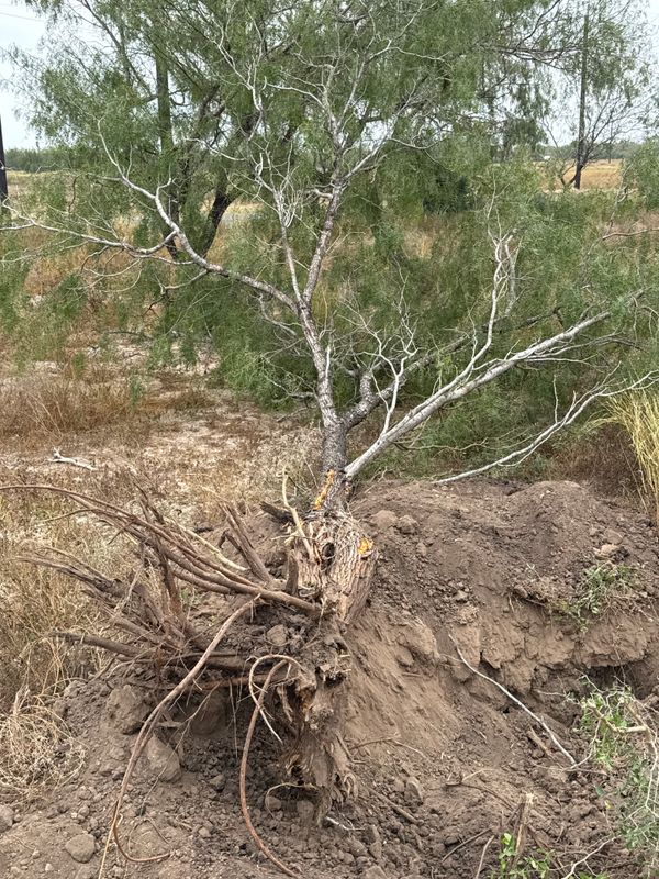 Land Clearing & Demolition
