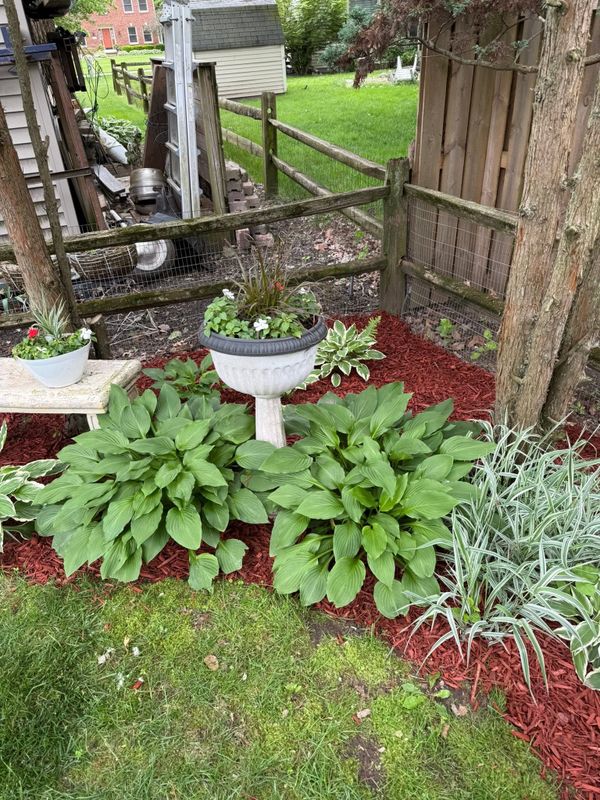 Garden Designs