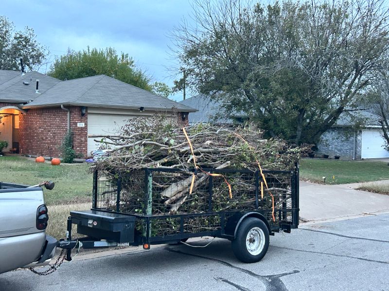 Shrubbery trimming and removal