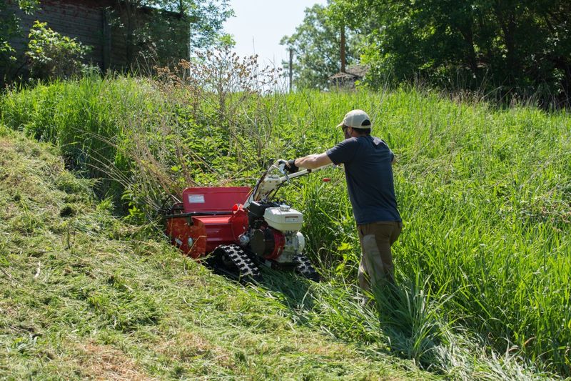 Brush Mowing