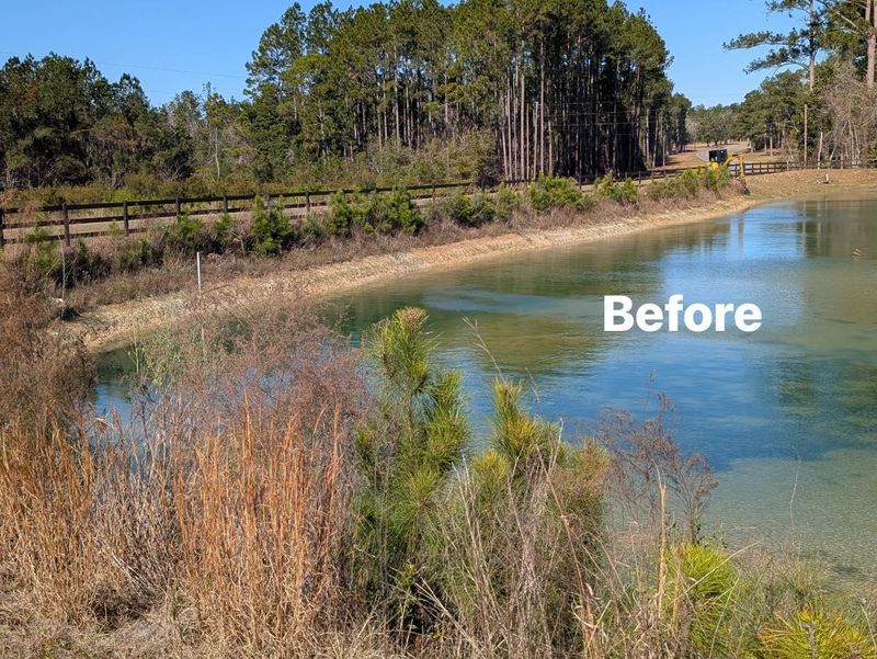 Land Clearing And Clean Up