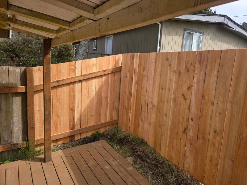 Fencing Repair & Installation