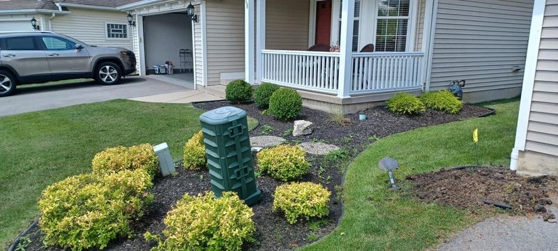 Shrub & Plant Installation Photos
