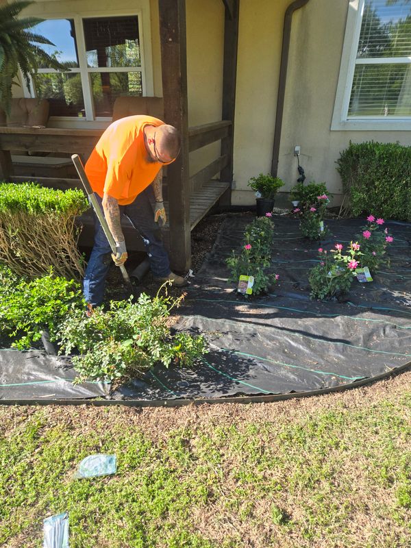 Landscape Design