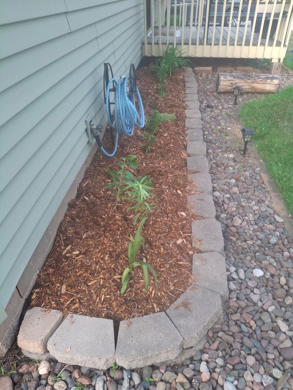 Landscape Design