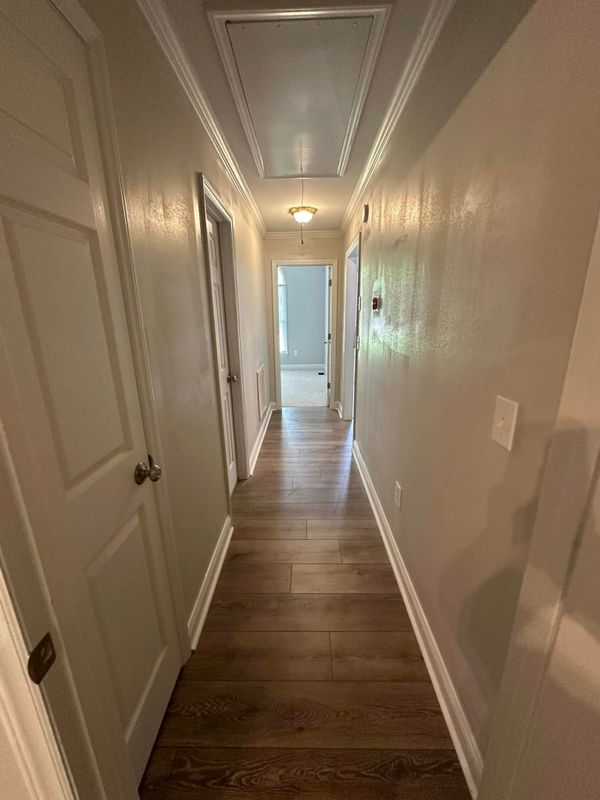 Interior Painting