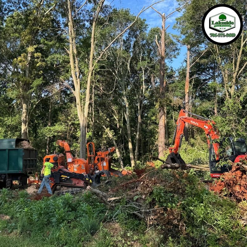 Land Clearing
