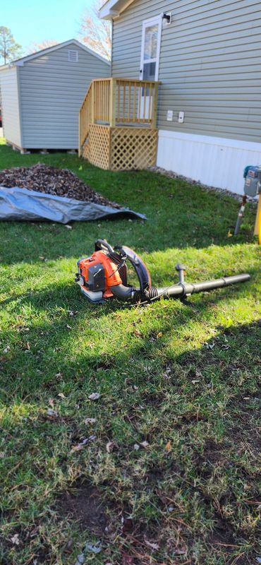 Lawn Maintenance