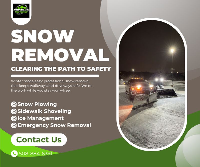 Snow Removal
