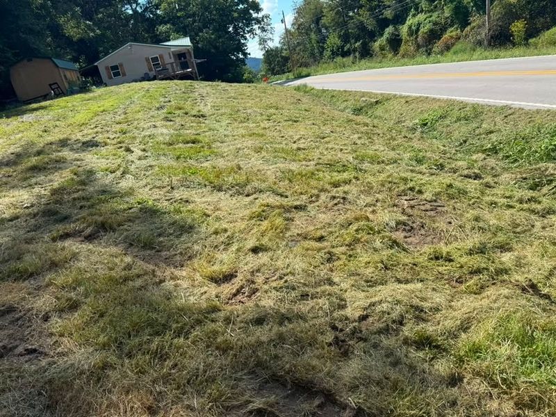 Land Clearing