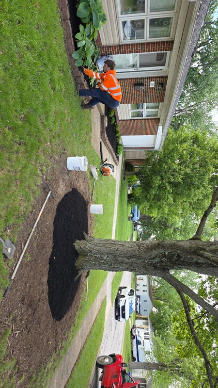 Garden Design and Installation
