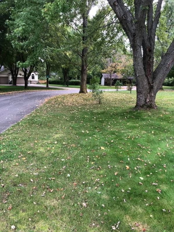 Seasonal Clean-Up