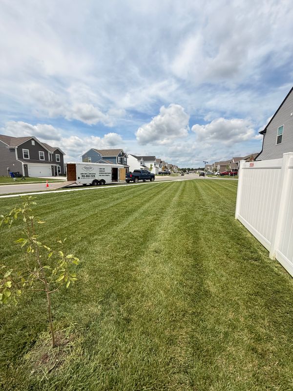 Lawn Care and Maintenance
