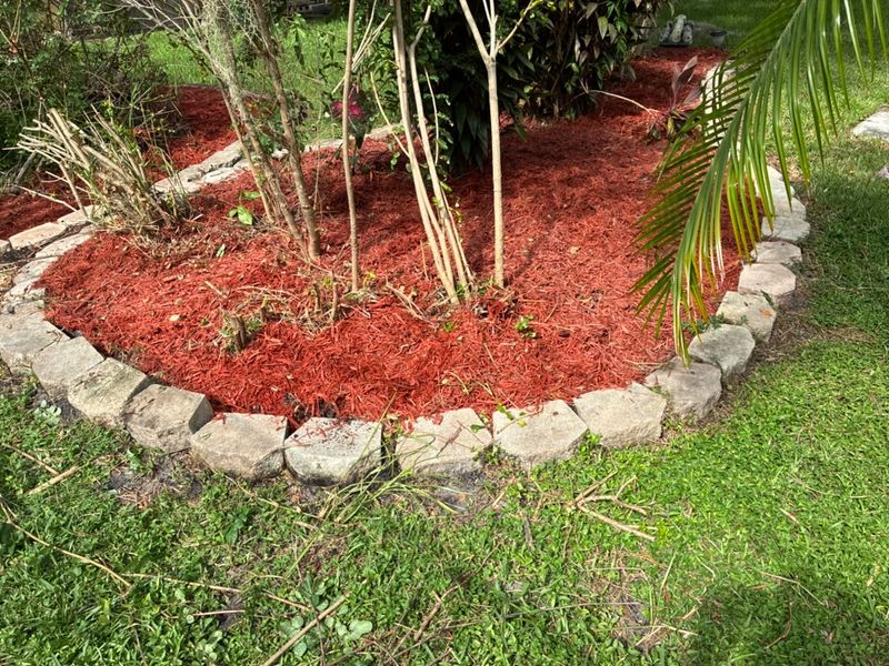 Tree and Hedge Care