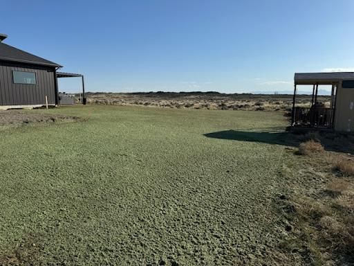 Residential and Commercial Hydroseeding