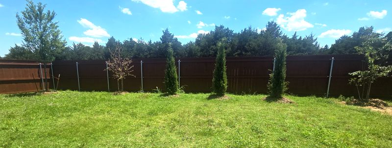 Staining Jobs
