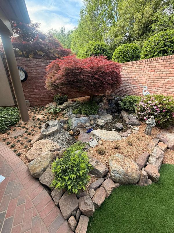 Plant & Shrub Installations