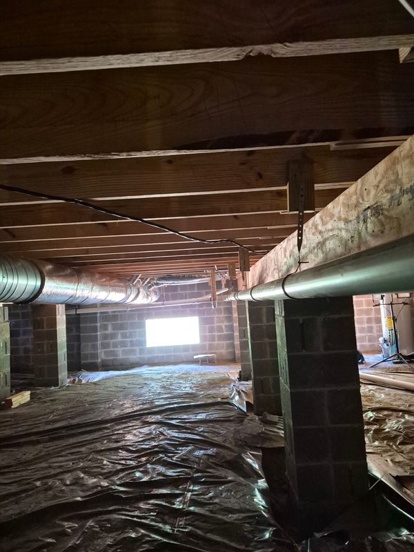 Water line, Sewer line and Drain line Repair and Replacement