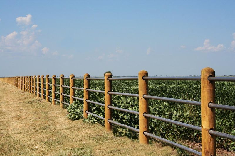 Ponderosa Fencing