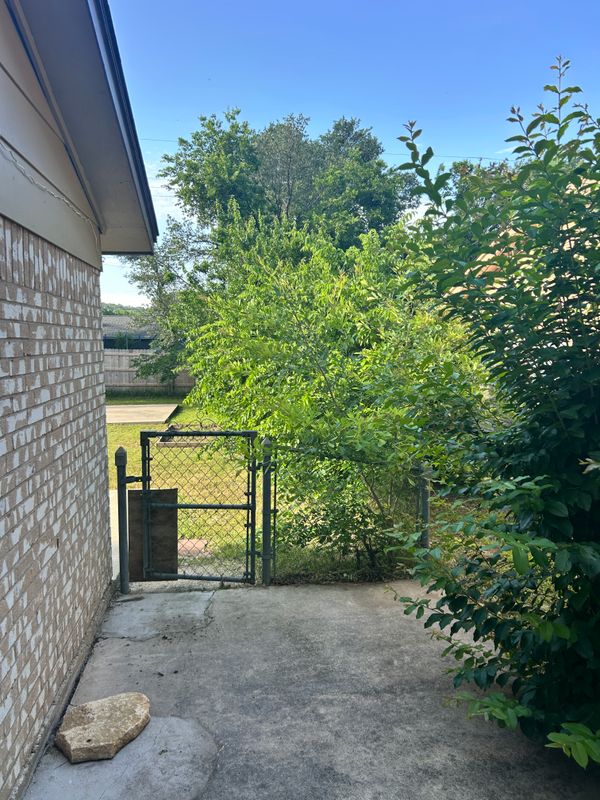 Shrubbery trimming and removal