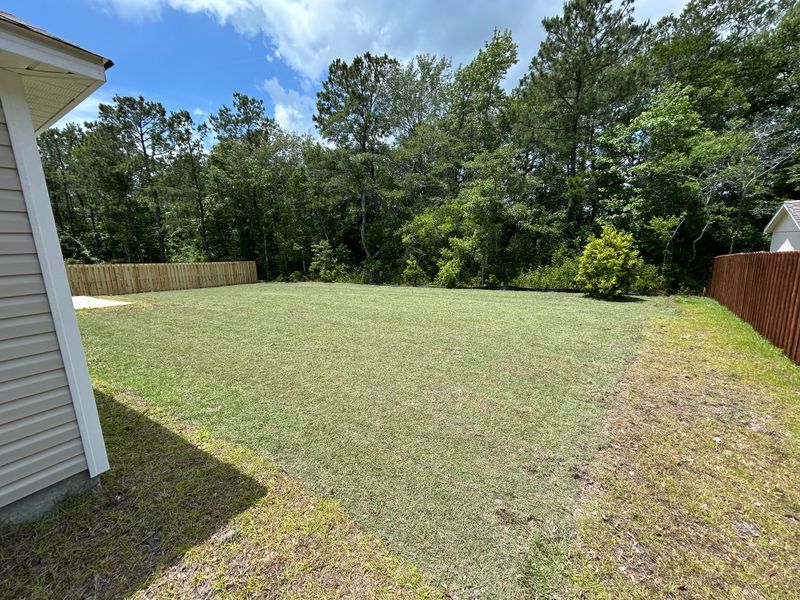 Lawn Maintenance