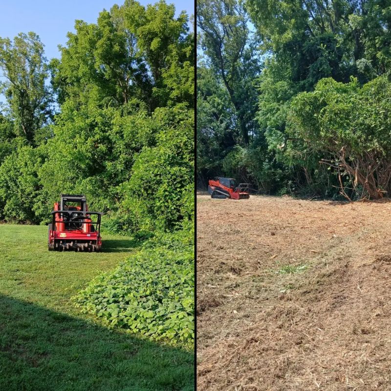 Forestry Mulching