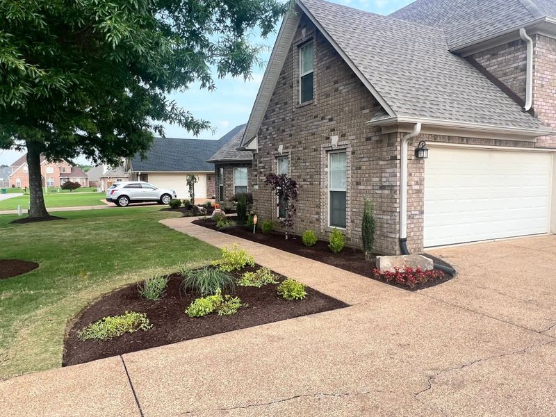 Lawn Care and Maintenance