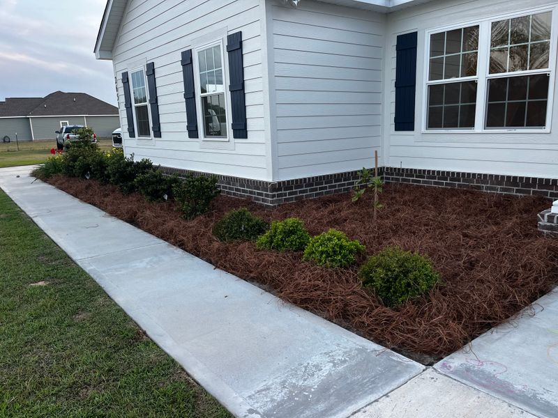 Tree & Shrub Care