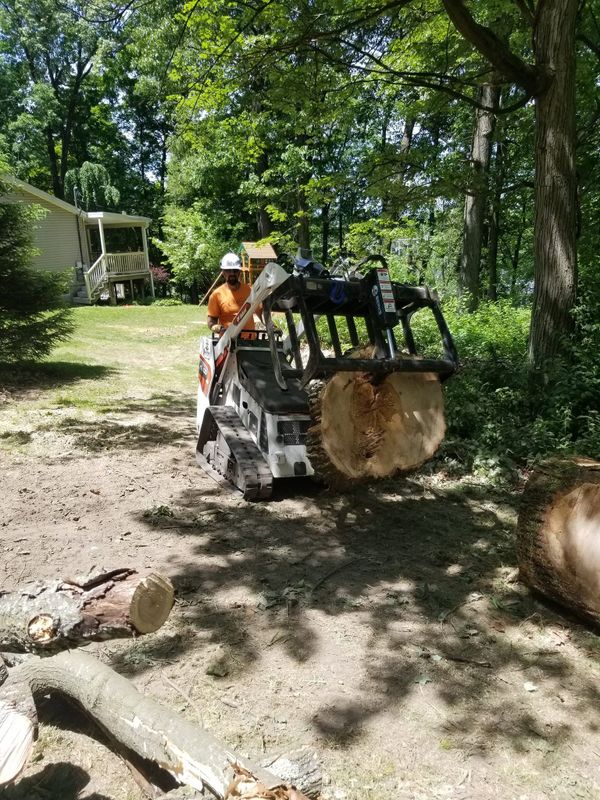 Stump Removal
