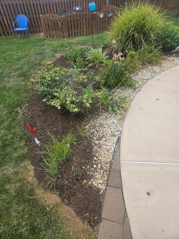 Landscape Design