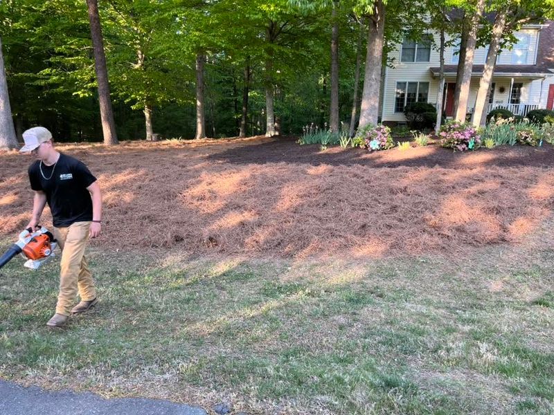Garden Maintenance