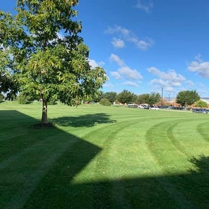 Lawn Care