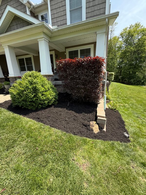 Shrub Trimming