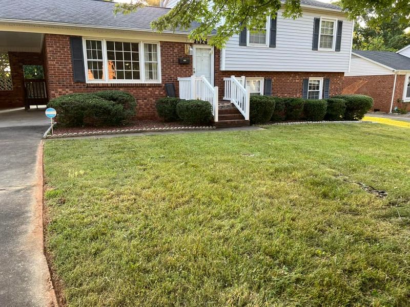 Tree & Shrub Care