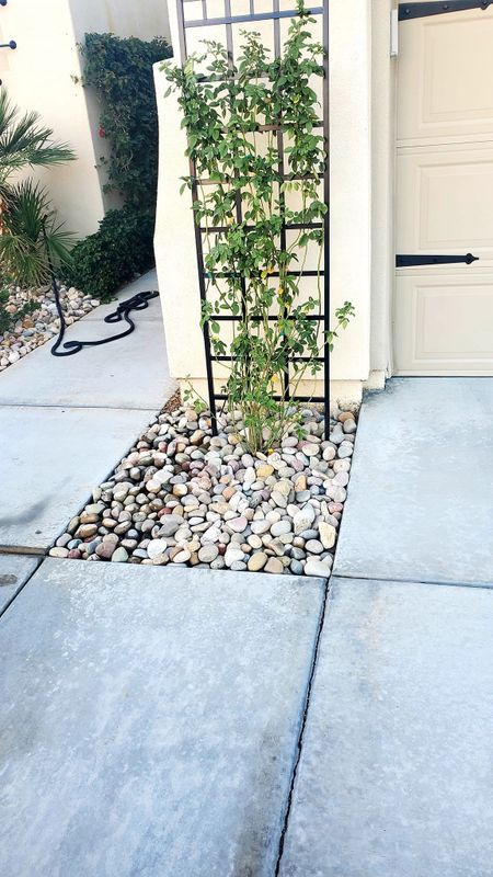 Garden and Planting Plans