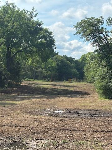 Transforming Personville's Landscape: Expert Land Clearing for Enhanced Aesthetic Appeal