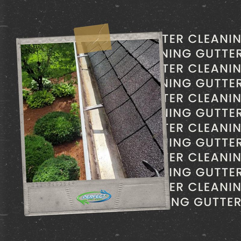 Gutter Cleaning