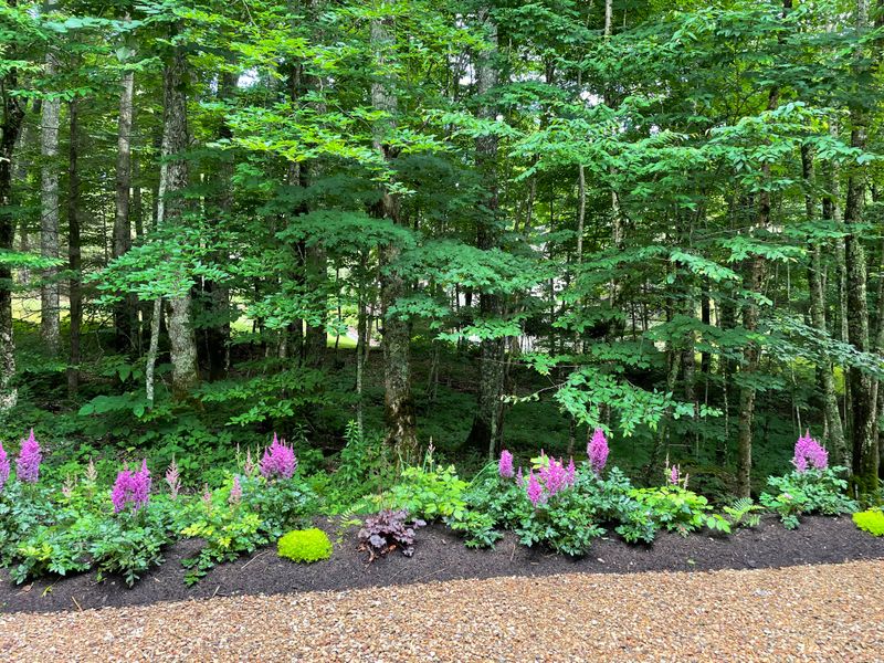 Perennial Gardens gallery