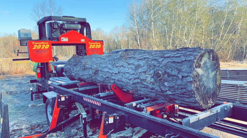 Tree Services