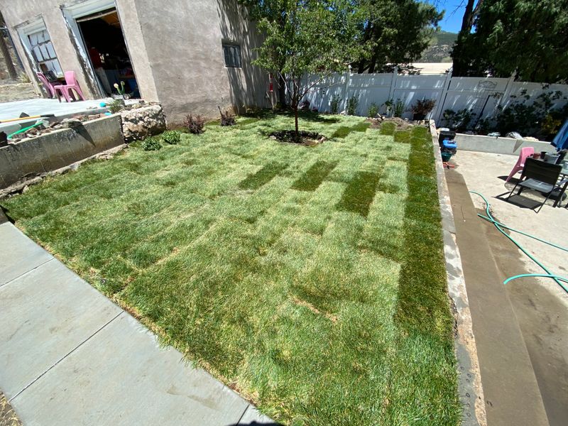 Mowing