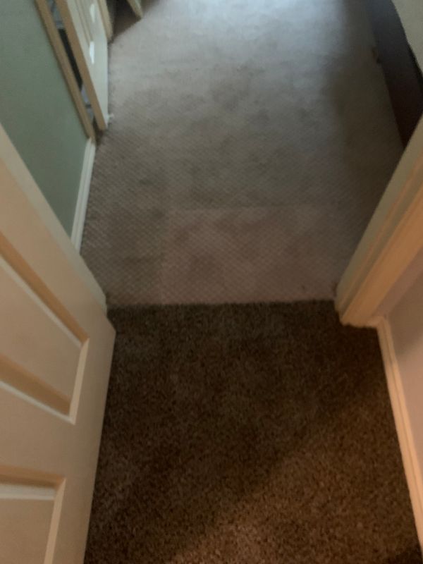 Interior Renovations