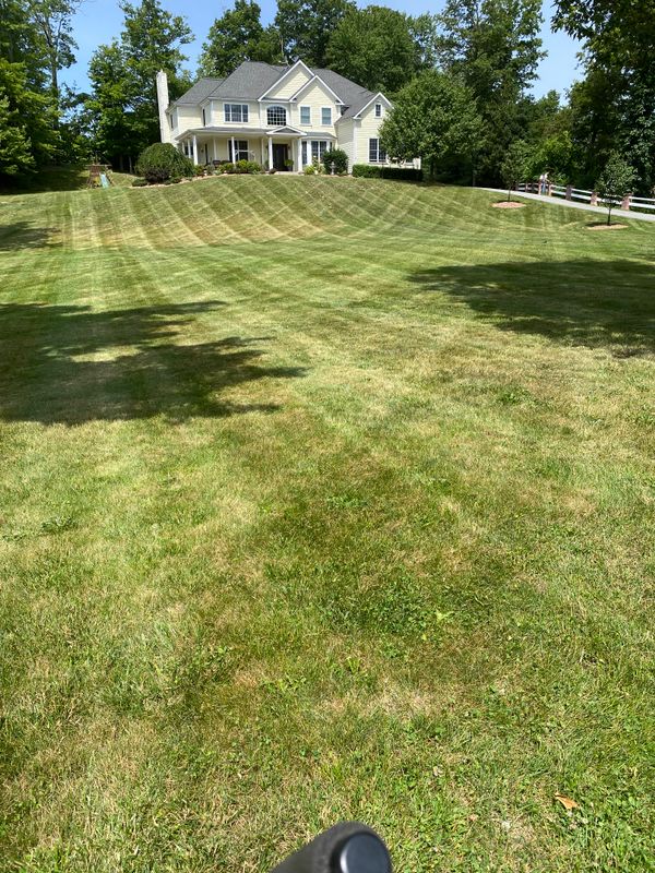 Lawn Maintenance