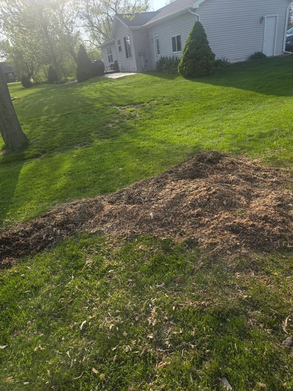 Stump Grinding