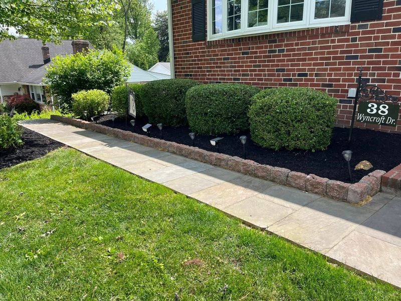 Landscape Lighting