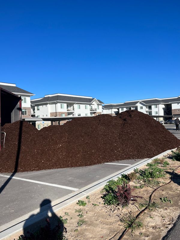 Mulch Installation