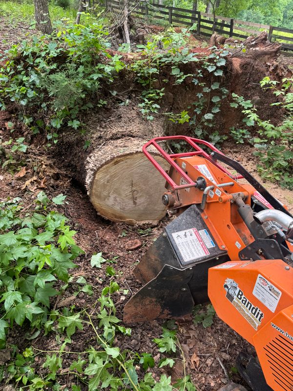 Stump Removal