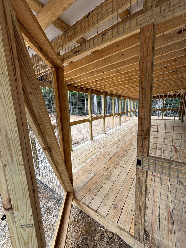 Deck and Patio Construction